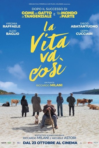 Poster of La vita va così