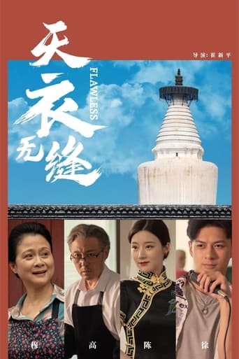 Poster of 天衣无缝