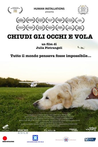Poster of Chiudi gli occhi e vola