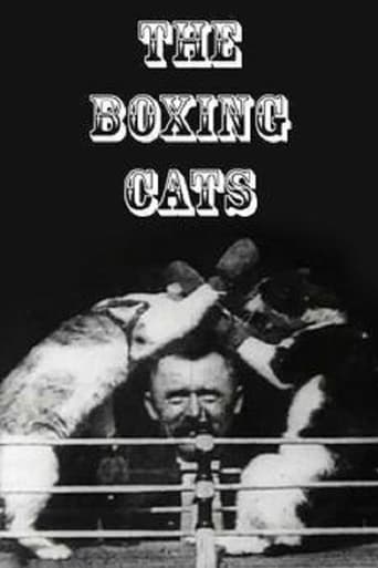 Poster of The Boxing Cats