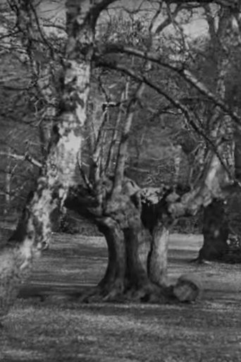 Poster of Burnham Beeches