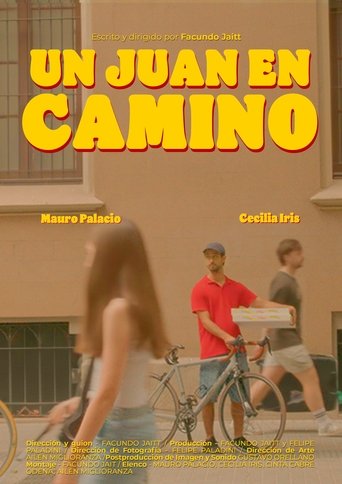 Poster of Un Juan en camino