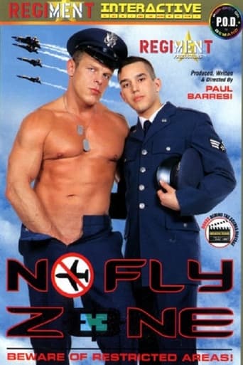 Poster of No Fly Zone