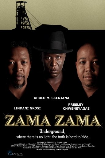 Poster of Zama Zama