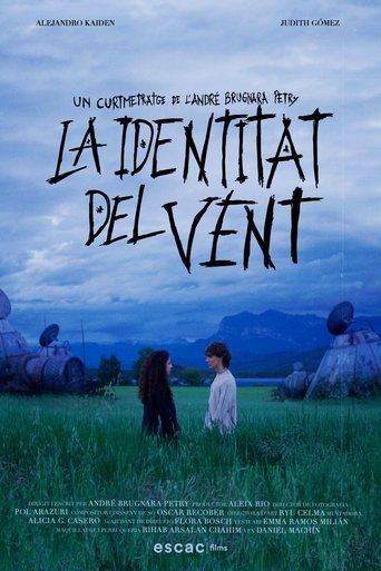 Poster of La identitat del vent
