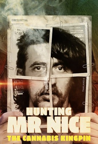 Poster of Hunting Mr Nice: The Cannabis Kingpin