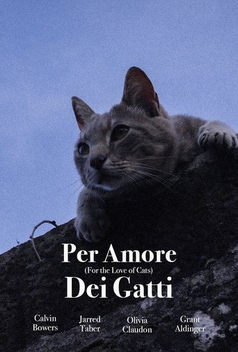 Poster of For the Love of Cats