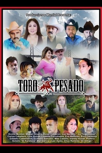 Poster of Toro Pesado