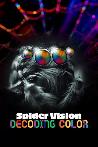 Poster of Spider Vision: Decoding Color