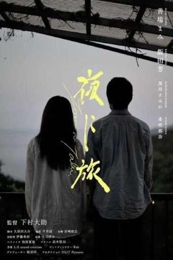 Poster of Journey Through the Night