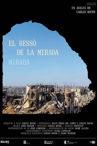 Poster of El ressò de la mirada
