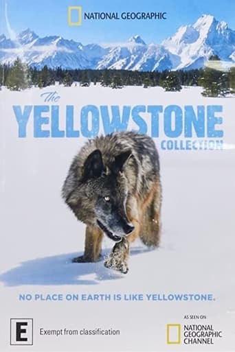 Poster of The Yellowstone Collection