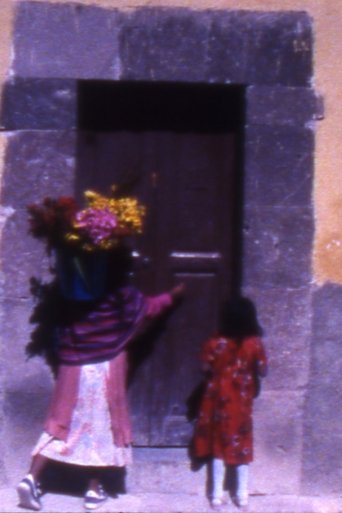 Poster of Woman with Flowers