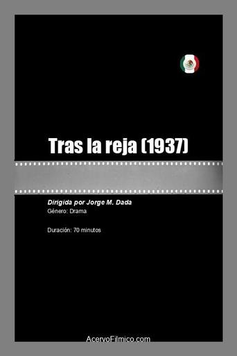 Poster of Tras la reja