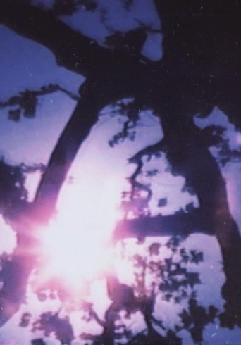 Poster of Light Point