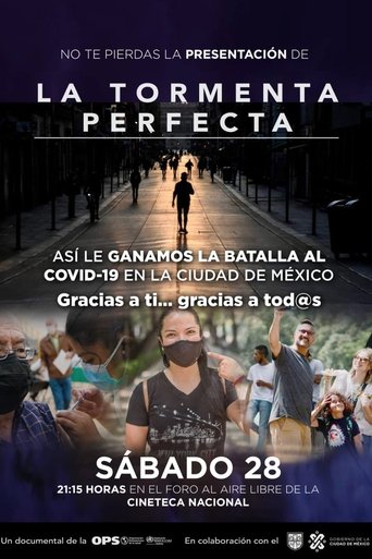 Poster of La tormenta perfecta