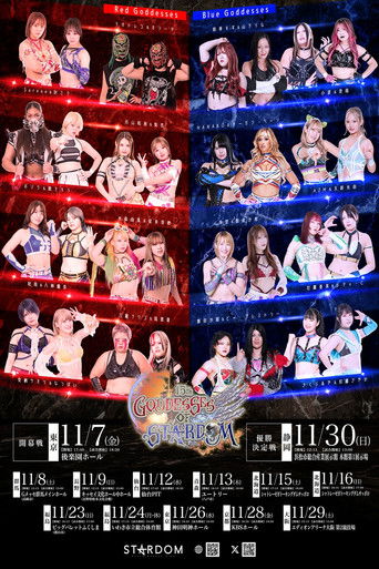Poster of Stardom Goddesses of Stardom Tag League 2025 - Day 13 (Final)
