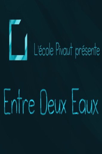 Poster of Entre deux eaux