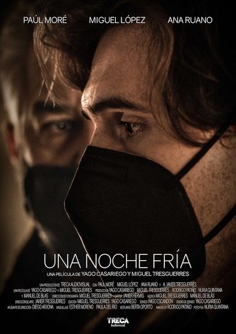 Poster of Una noche fría