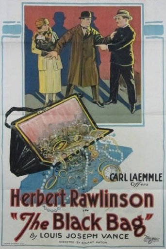 Poster of The Black Bag
