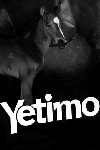 Poster of Yetimo