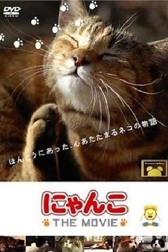 Poster of Cat Story The Movie 1