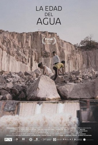 Poster of The Age of Water