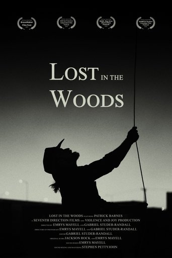 Poster of Lost in the Woods