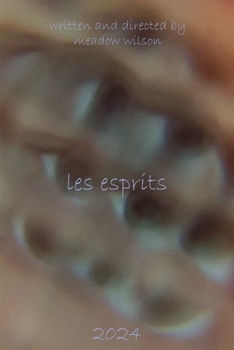 Poster of The Spirits