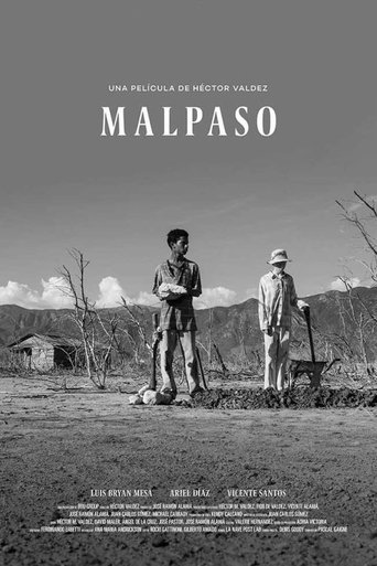 Poster of Malpaso