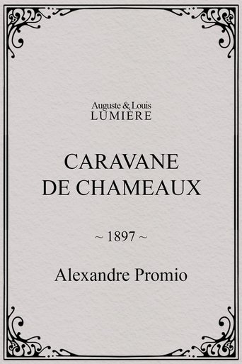 Poster of Caravane de chameaux