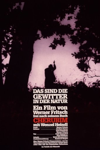 Poster of Das sind die Gewitter in der Natur