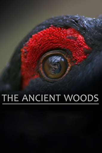 Poster of The Ancient Woods