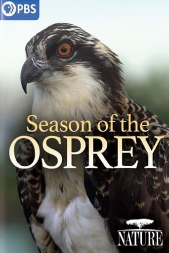 Poster of Season of the Osprey