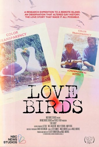 Poster of Love Birds