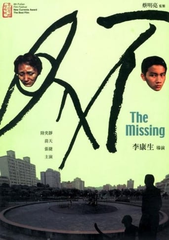 Poster of The Missing