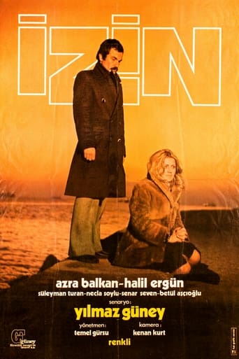 Poster of İzin