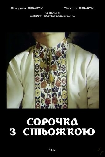 Poster of A Shirt with Ukrainian Embroidery