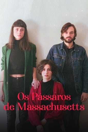 Poster of Os Pássaros de Massachusetts