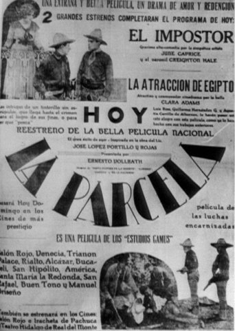 Poster of La parcela