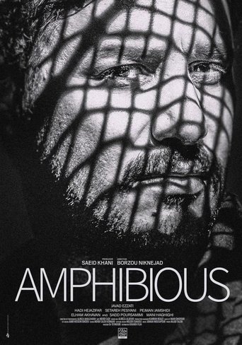 Poster of Amphibious