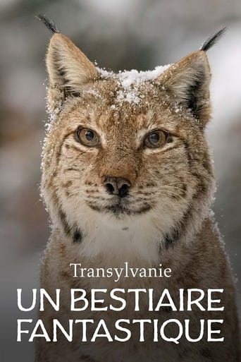 Poster of Transylvanie, un bestiaire fantastique