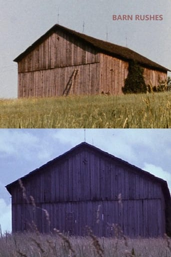 Poster of Barn Rushes