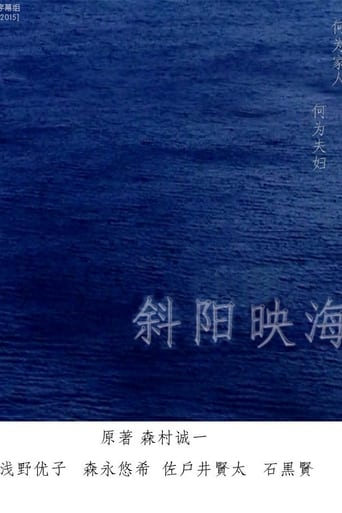 Poster of 海の斜光