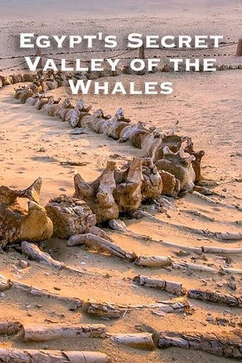 Poster of Egypt's Secret Valley of the Whales