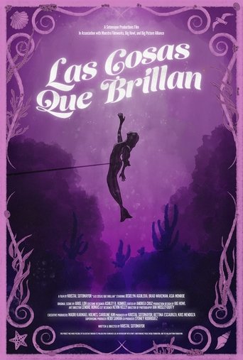 Poster of Las Cosas Que Brillan