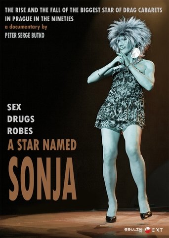 Poster of A Star Named Sonja