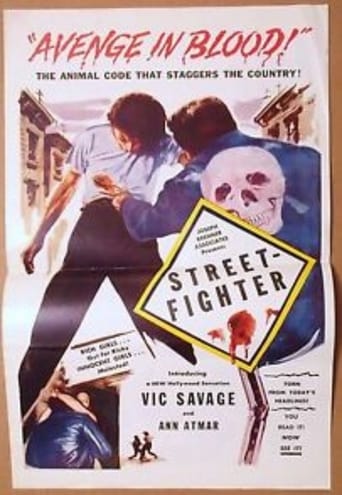 Poster of Street Fighter