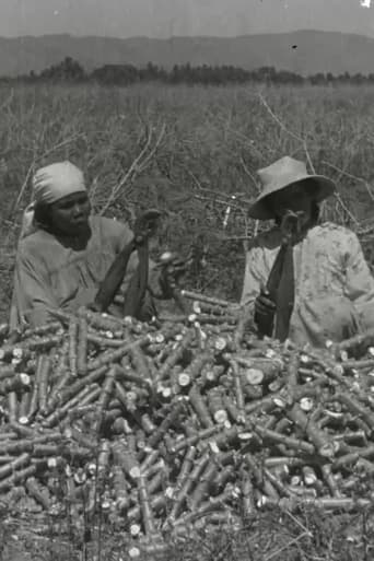 Poster of La chanson du manioc