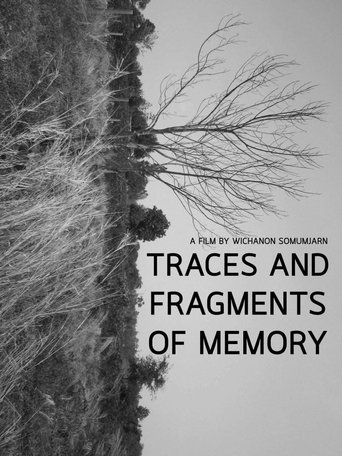 Poster of Traces and Fragments of Memory